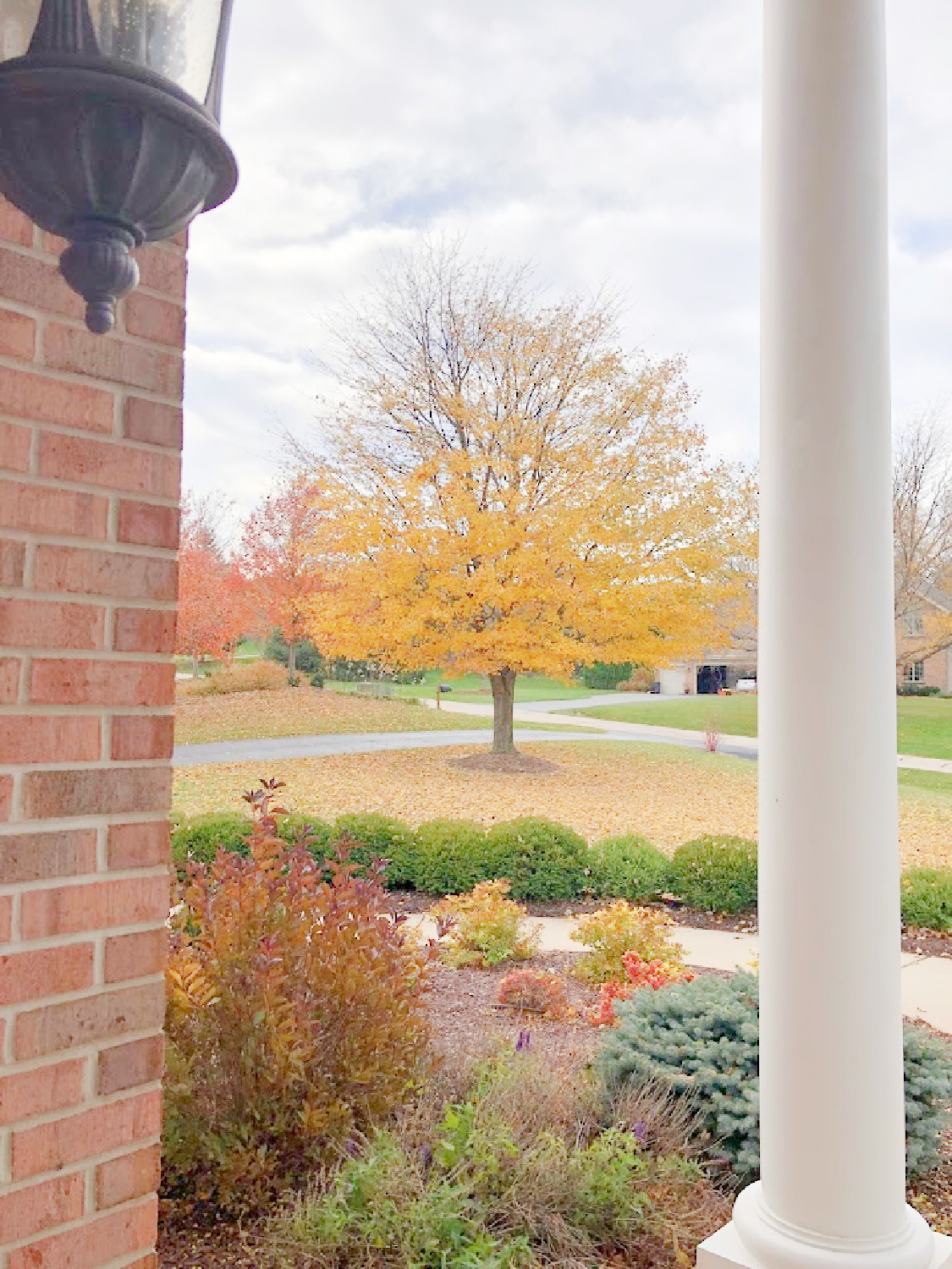 Fall in the front yard - Hello Lovely Studio.