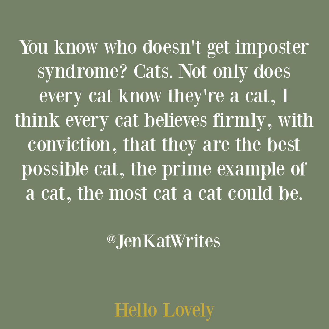Funny cat tweet about imposter syndrome from @jenkatwrites on Hello Lovely Studio. #cattweets #cathumor #impostersyndrome