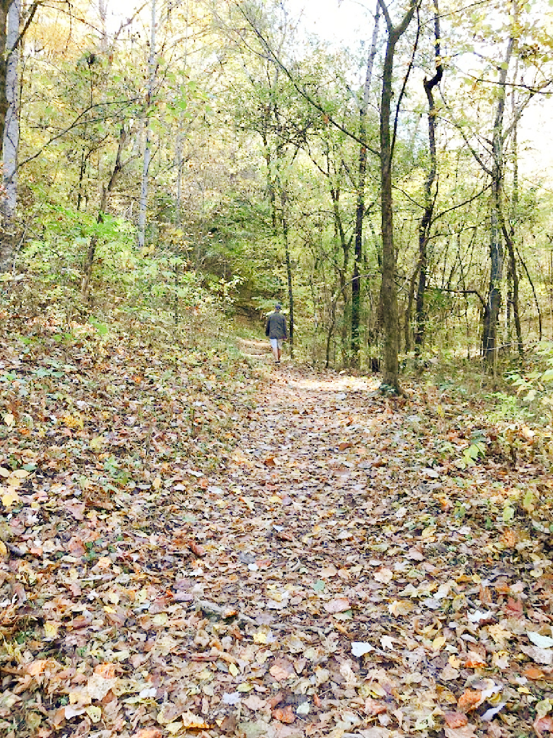 Natchez Trace National Scenic Trail in autumn - Hello Lovely Studio. #natcheztrace #williamsoncounty #autumnhike