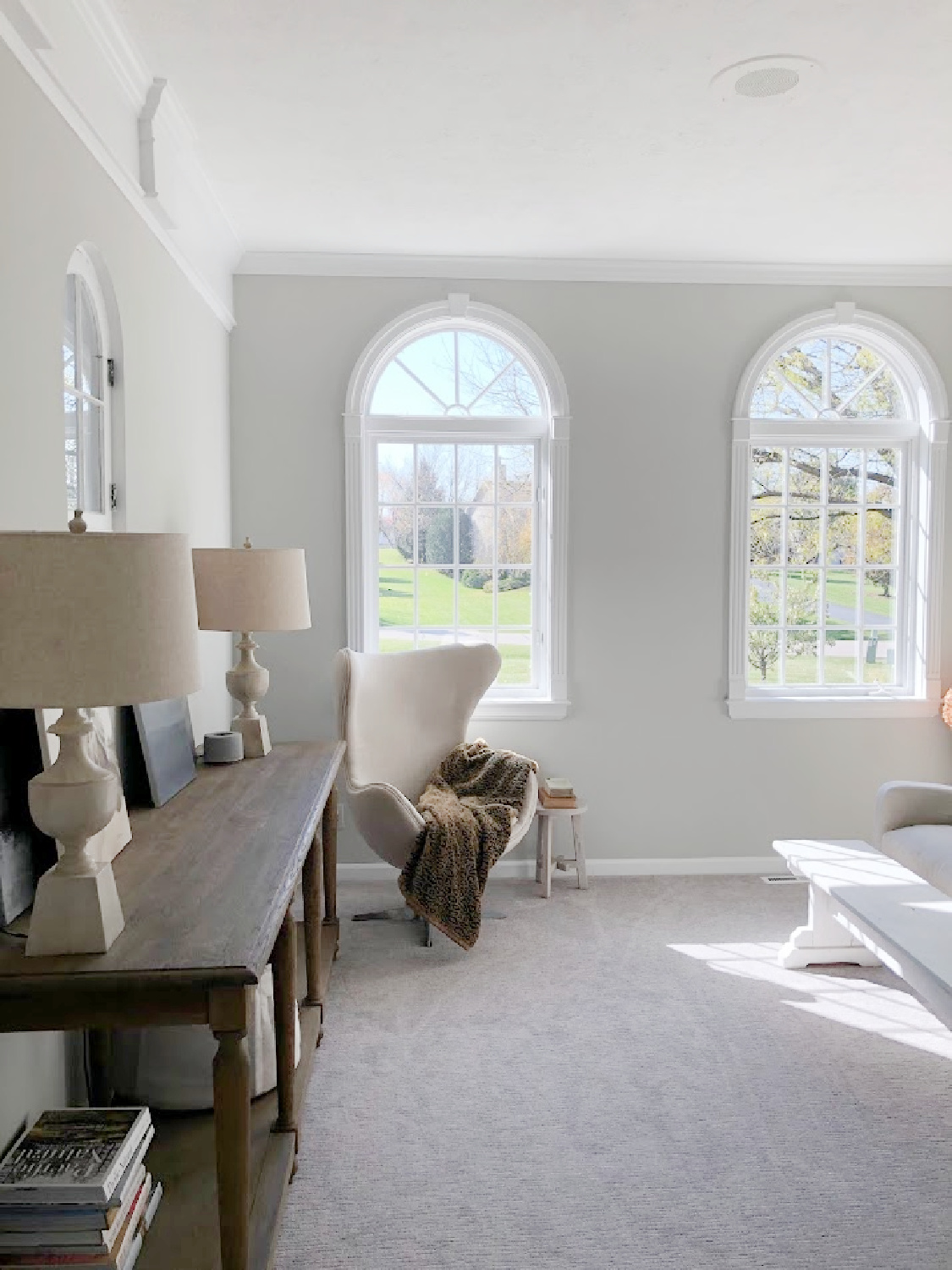 Living room with Belgian style and Sherwin Williams Repose Gray walls - Hello Lovely Studio.