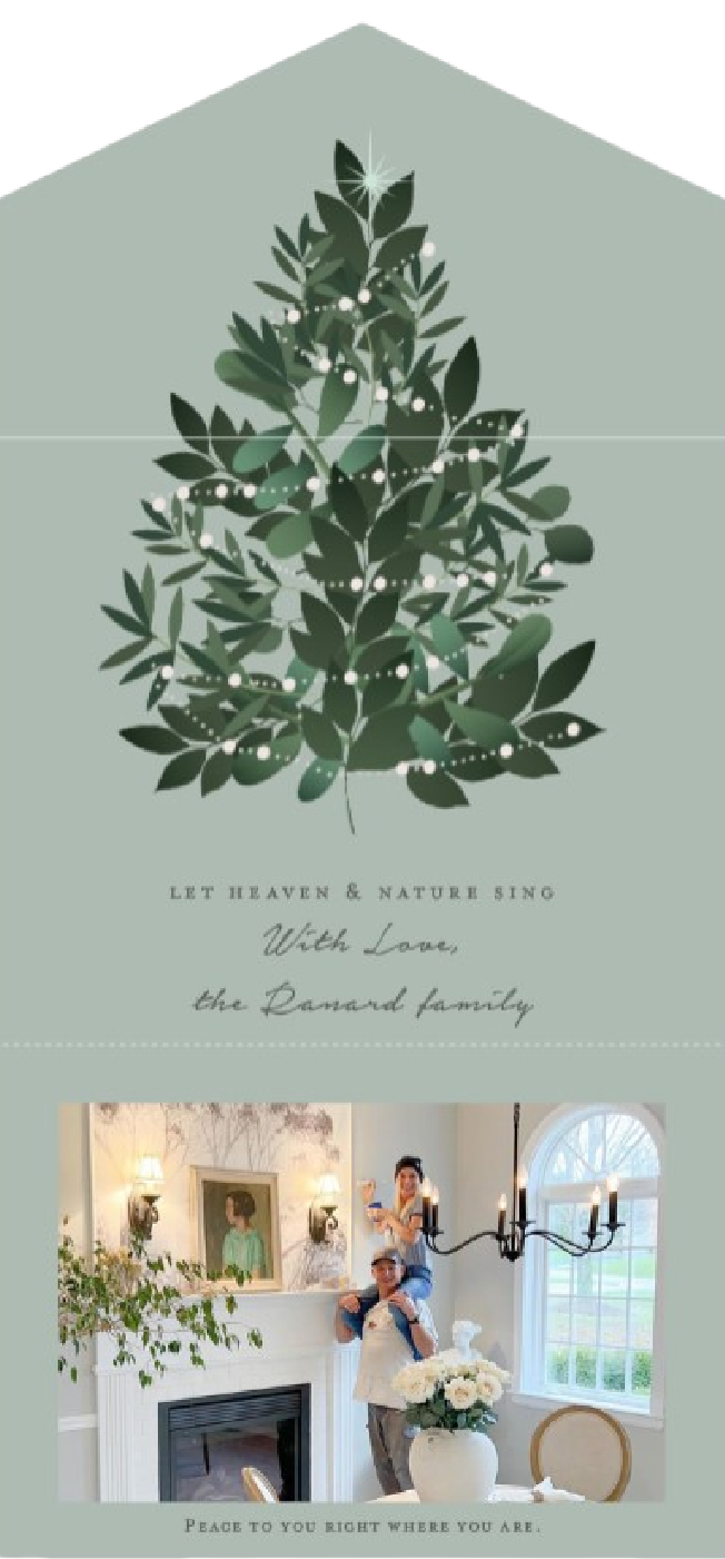 A Minted holiday card is easier than ever to customize and personalize! Come see a few options I am considering this year- Hello Lovely Studio. #mintedholidaycard #holidaycards #customizedholidaycard