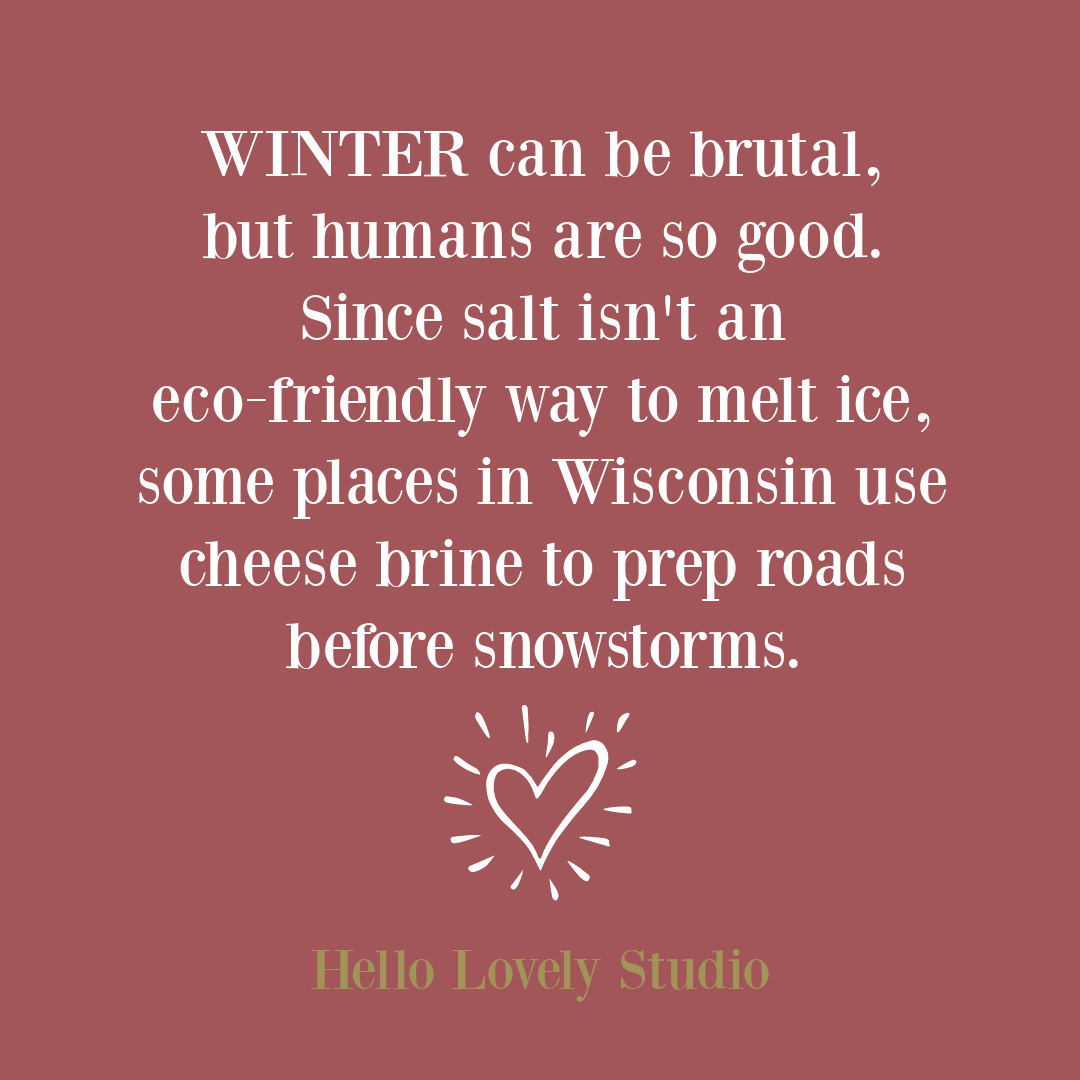 Uplifting quote about winter and innovation and earth friendly solutions - Hello Lovely Studio. #winterquotes #snowquotes