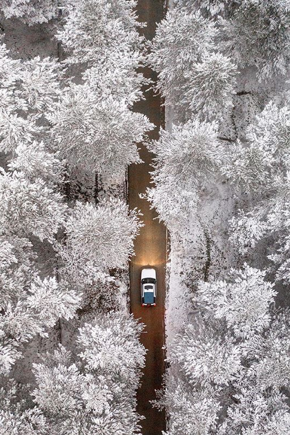 Scenic aerial shot of snowy flocked trees, car, and road - #shmet_erdem. #cozywinter #snowywoods #snowytrees