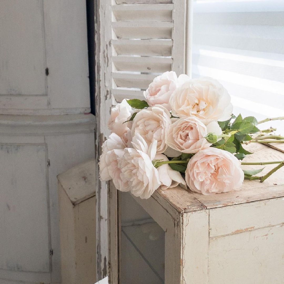 Nordic French white antiques and vintage decor with pale blush Francis Meilland roses - My Petite Maison. #nordicfrench #frenchnordic #vintagestyle #francismeilland #swedishcountry #countrydecor