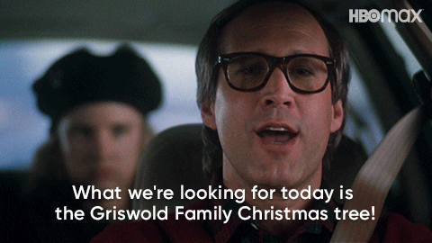 gif result for funny scene Griswold family Christmas tree vacation movie car scene