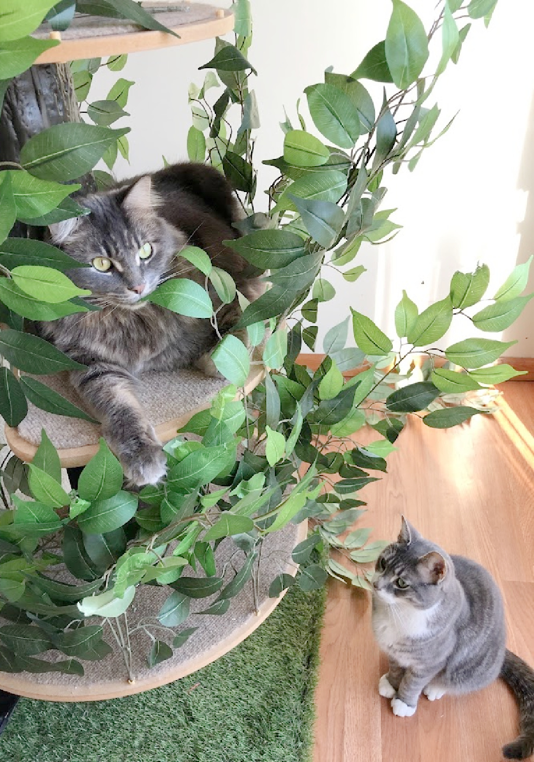 Cat tree with grey cat at top and gray cat at bottom - Hello Lovely Studio.