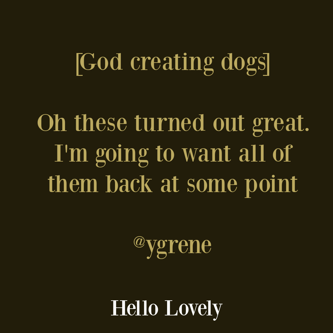 Heart-full tweet about dogs on Hello Lovely Studio. #doglovers