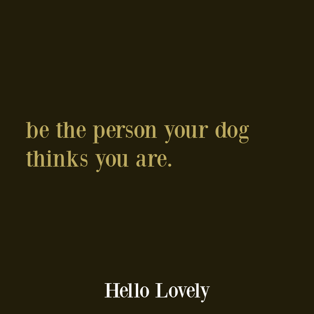 Sweet dog quote on Hello Lovely Studio. #dogquote #dogloverquote