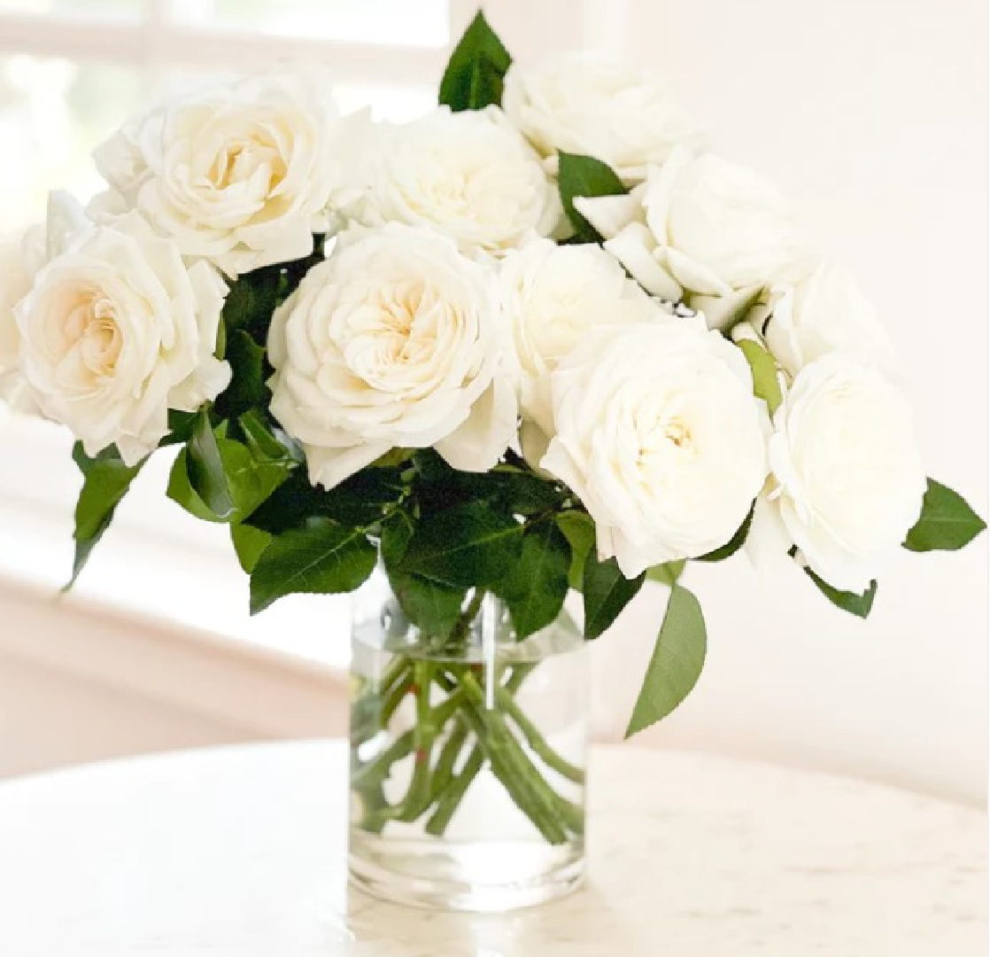 Alabaster white roses from Grace Rose Farm. #gardenrosebouquet #whiteroses
