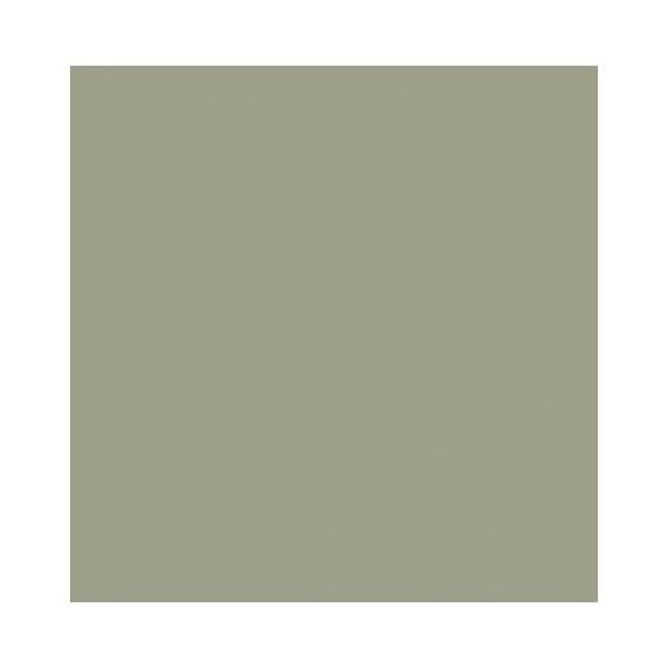Benjamin Moore Louisburg Green HC-113 paint color swatch.