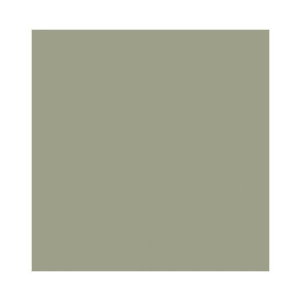 Benjamin Moore Louisburg Green HC-113 paint color swatch.