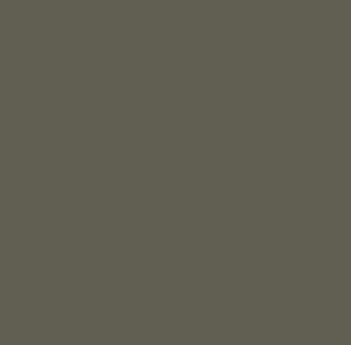 Benjamin Moore Mohegan Sage 2138-30 paint color swatch