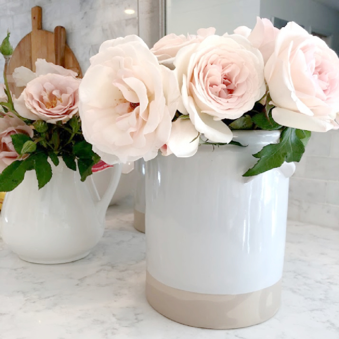 Blush pink roses from Grace Rose Farm in a terracotta pot on my counter (Viatera Minuet quartz) - Hello Lovely Studio.