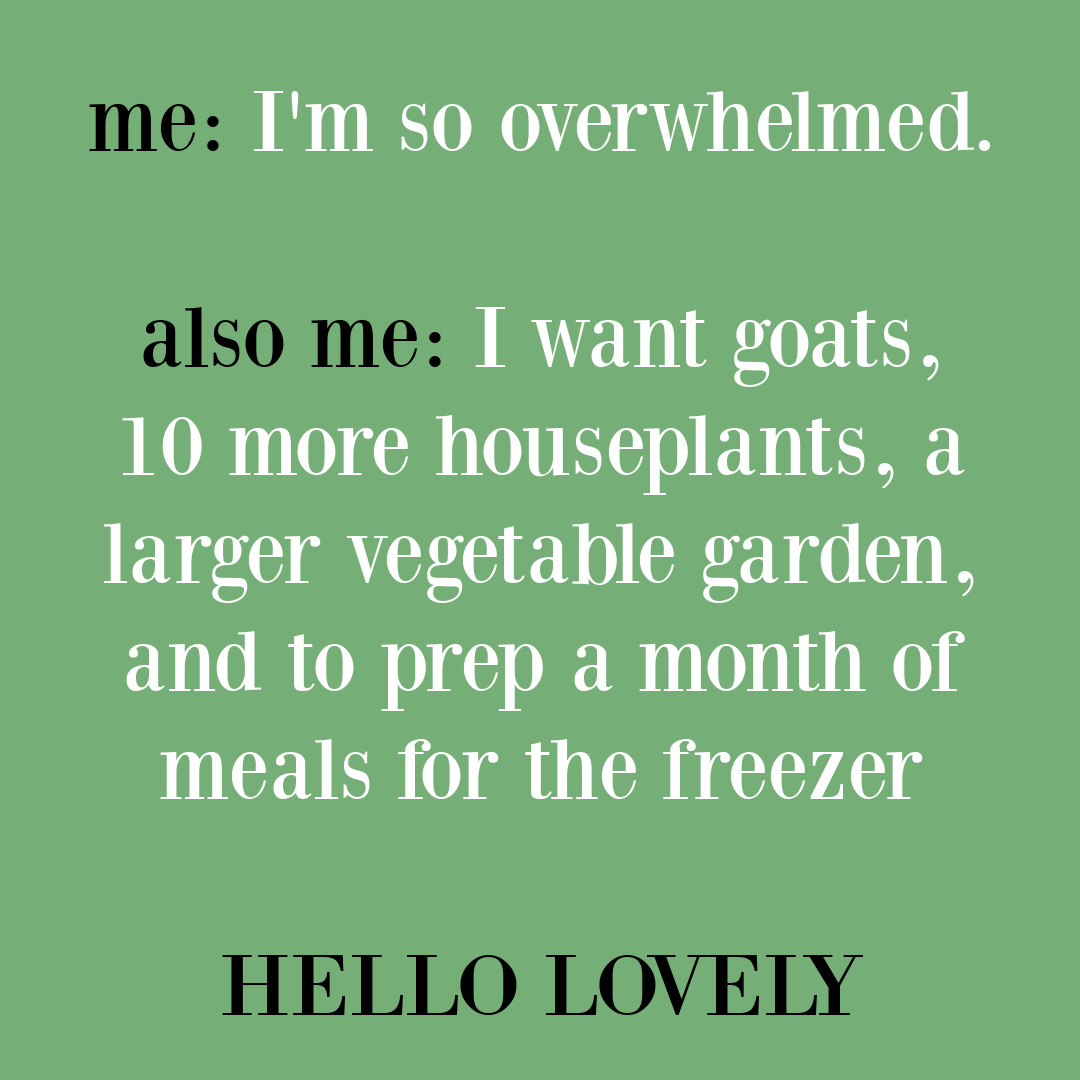 Funny overwhelm quote from Hello Lovely Studio. #funnyquotes #overwhelmquotes #momlifequotes