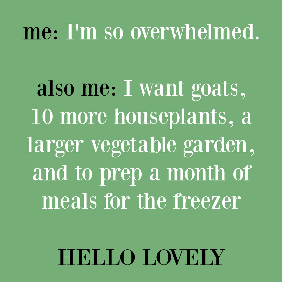 Modern life humor and funny overwhelm quote from Hello Lovely Studio. #funnyquotes #lifequotes