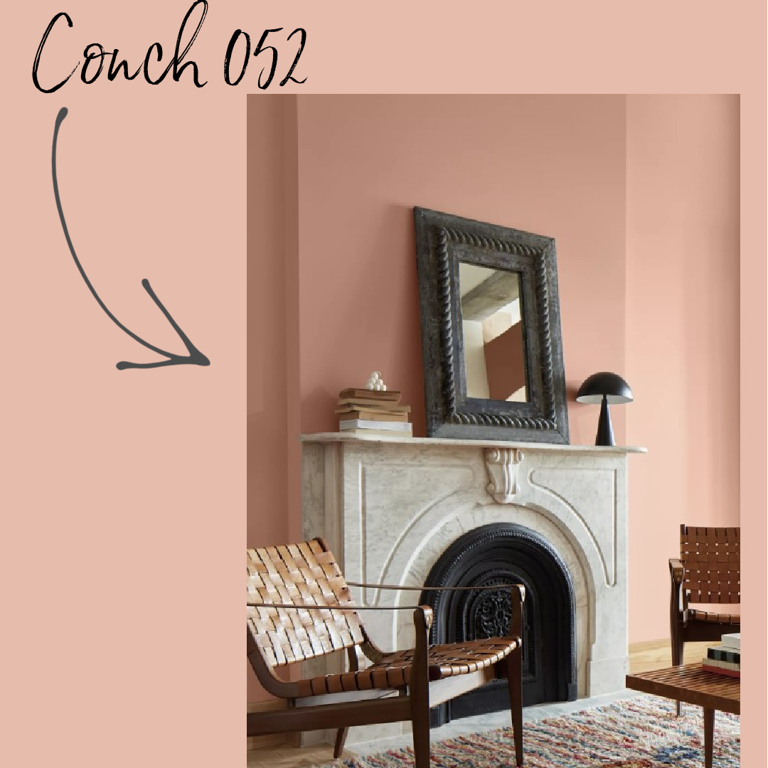 Conch Shell 052 Benjamin Moore trending color of 2023. #pinkpaintcolors #conchshell #bmconchshell