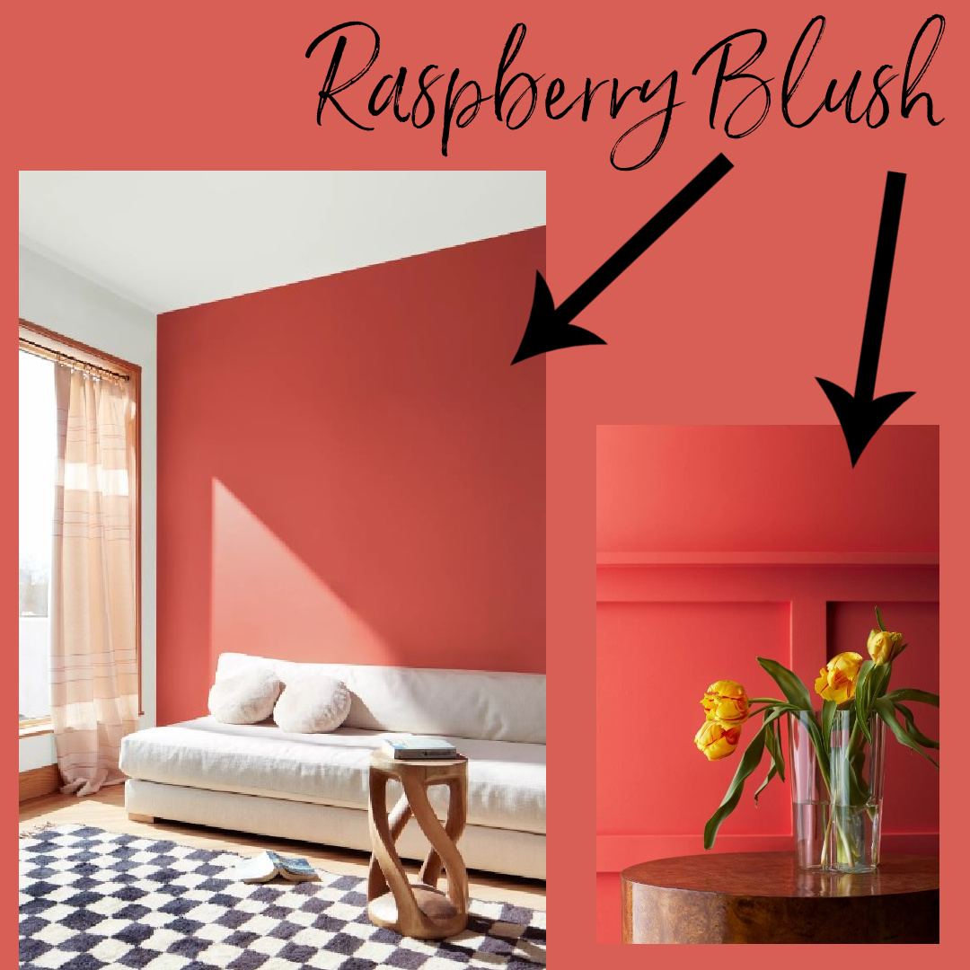 Raspberry Blush Benjamin Moore 2023 paint color of the year. #raspberryblush #paintcolors
