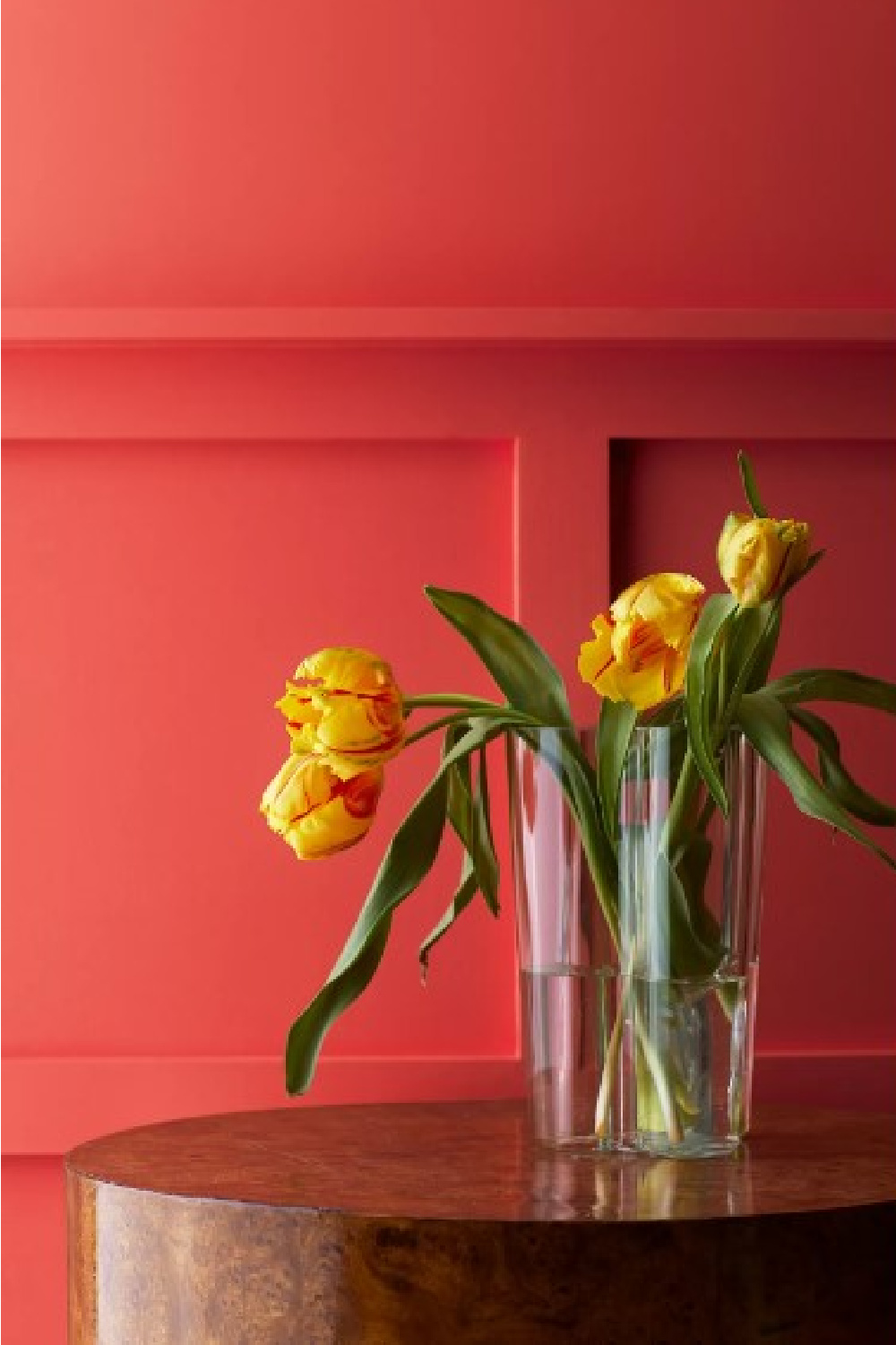 Raspberry Blush Benjamin Moore 2023 paint color of the year. #raspberryblush #paintcolors