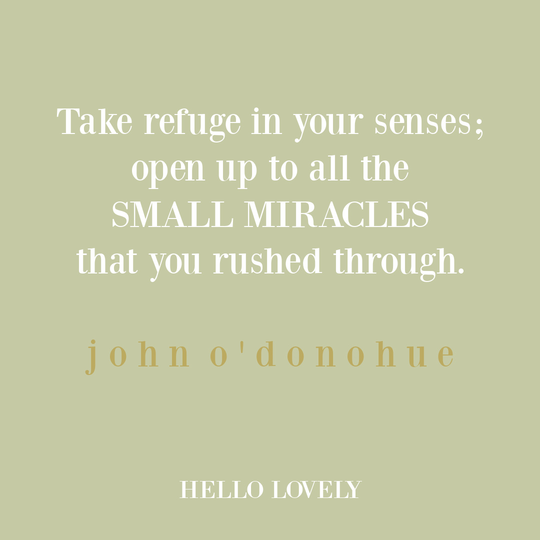 John O'Donohue quote about taking refuge in your senses and experiencing small miracles you rushed through on Hello Lovely Studio. #johnodonohue #miraclequotes
