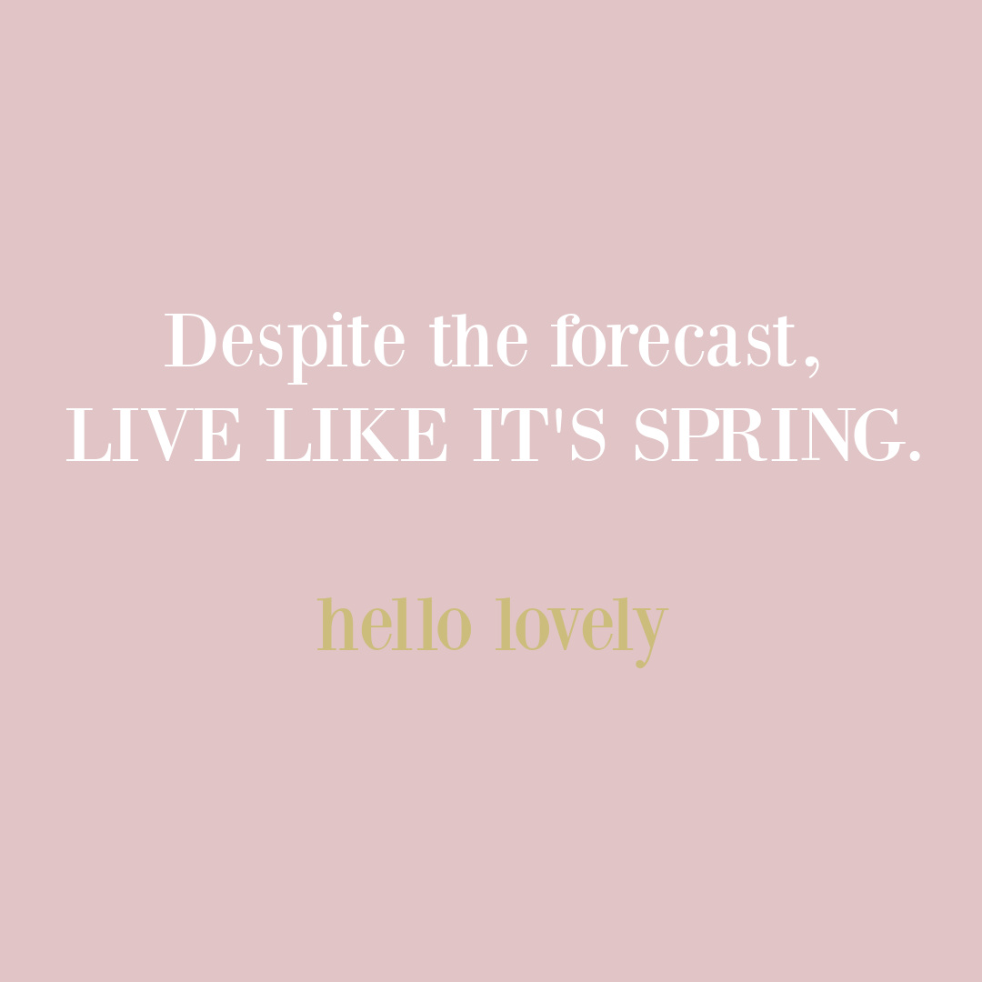 Spring quote of encouragement on Hello Lovely Studio. #springquotes