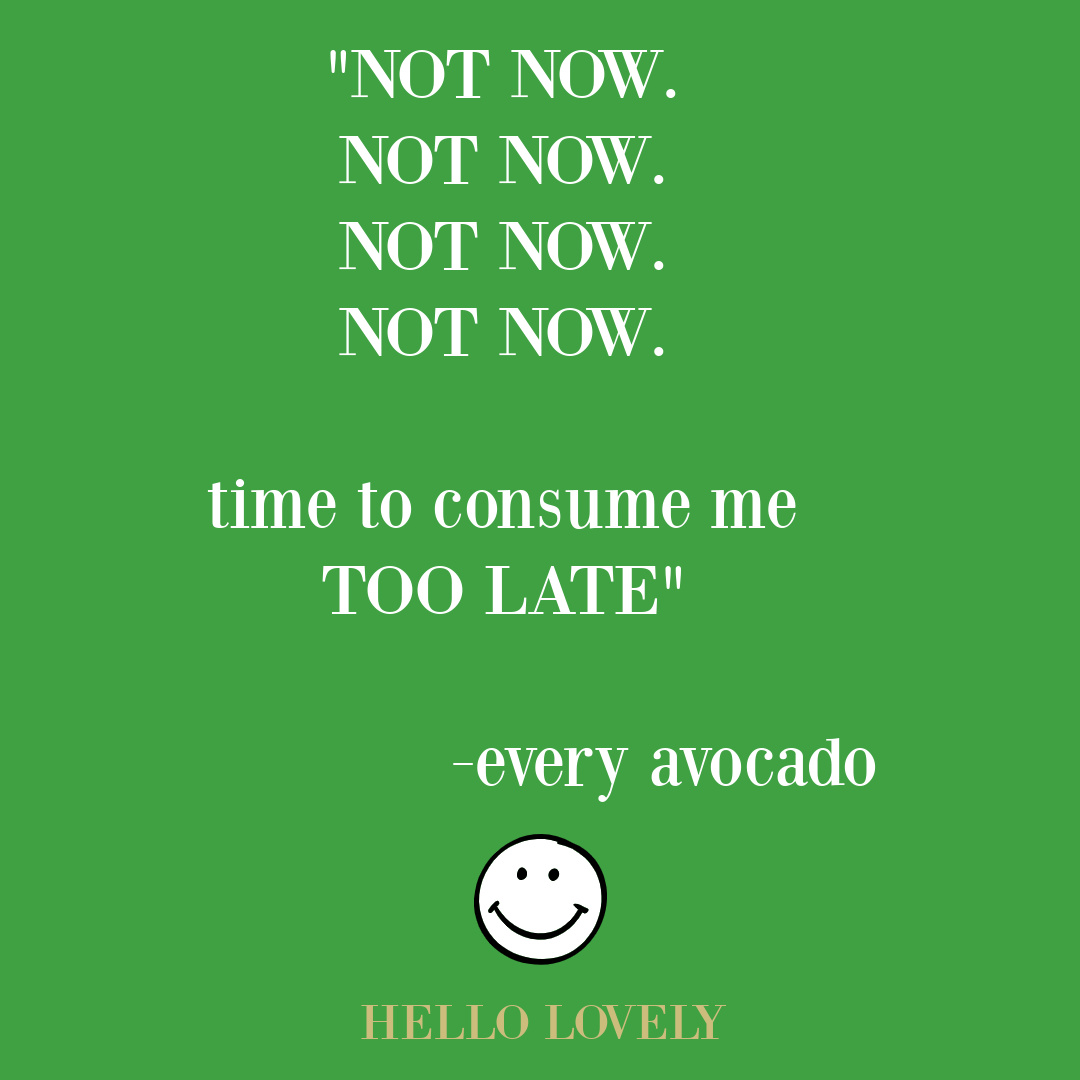 Silly avocado quote on Hello Lovely Studio. #avocadohumor #sillyquotes