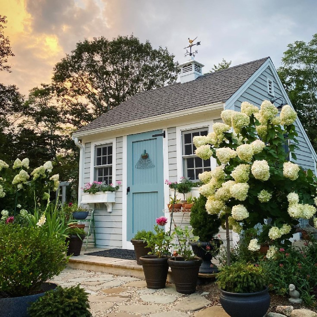 Charming cottage garden shed with blue door (painted BM Jamestown Blue), hydrangea, window boxes, and Cape Cod style - @thisoldcapebarn. #tinycottages #gardensheds #capecodstyle