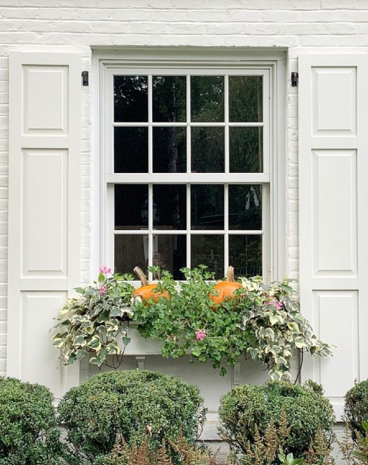 BM White Dove on a beautiful brick house exterior with fall window box - @theprettypinktulips. #bmwhitedove