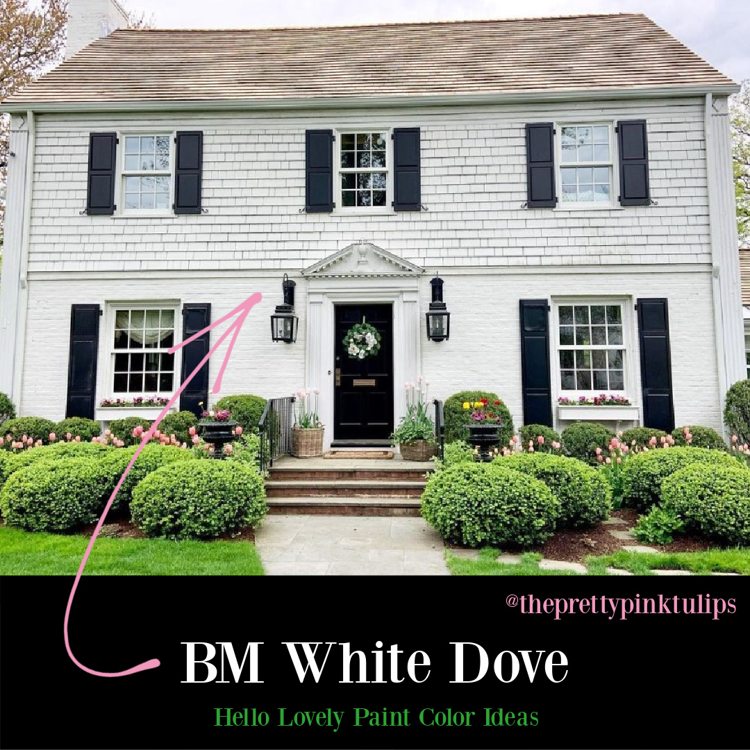 BM White Dove on white house exterior - @theprettypinktullips. #bmwhitedove