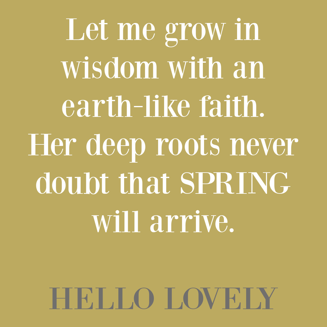 Spring quote on Hello Lovely Studio. #springquotes