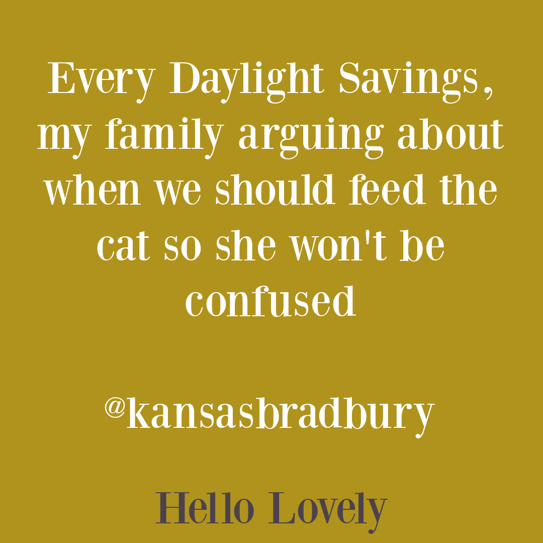 Silly cat tweet from @kansasbradbury on Hello Lovely Studio. #funnycatquote #funnycattweet