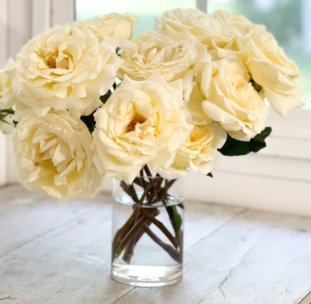 White roses (Vitality) in a vase from Grace Rose Farm. #gracerosefarm #whiteroses