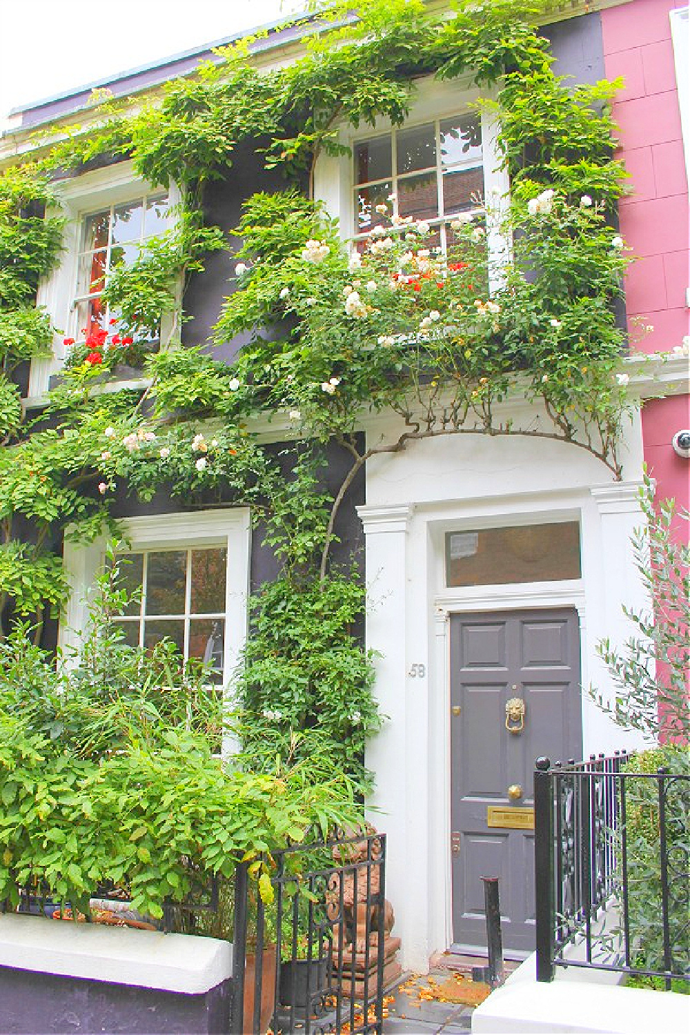 Sophisticated dark gray door with white trim on ivy covered row house in Notting Hill. Come explore paint colors for your front door. #frontdoorcolors #paintcolors #curbappeal
