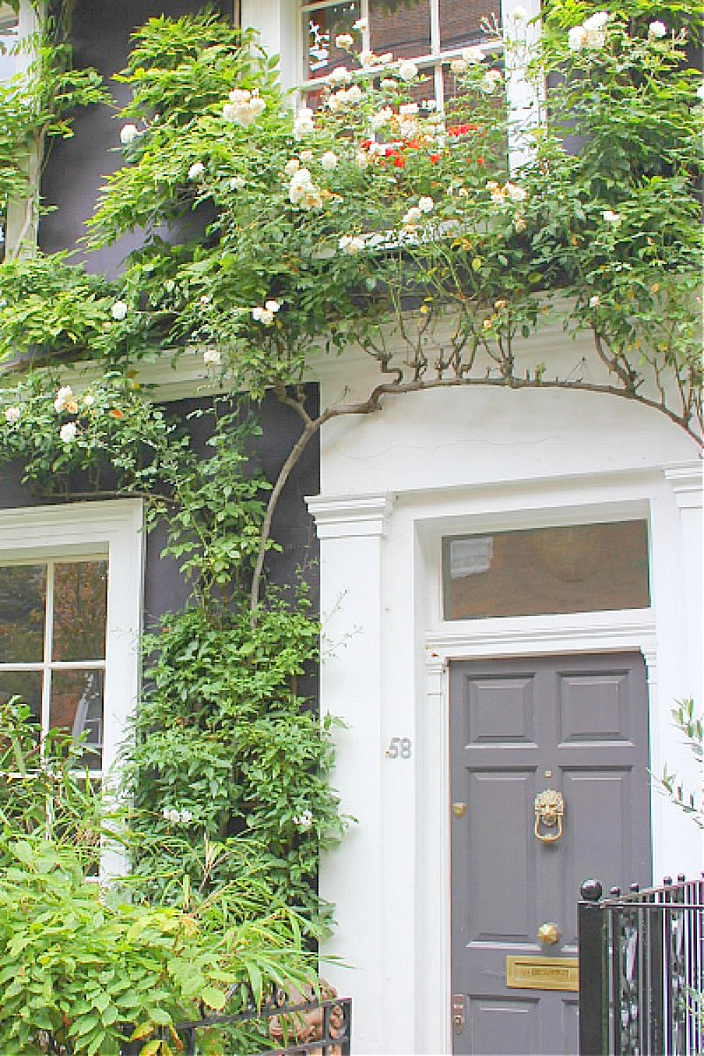 Sophisticated dark gray door with white trim on ivy covered row house in Notting Hill. Come explore paint colors for your front door. #frontdoorcolors #paintcolors #curbappeal