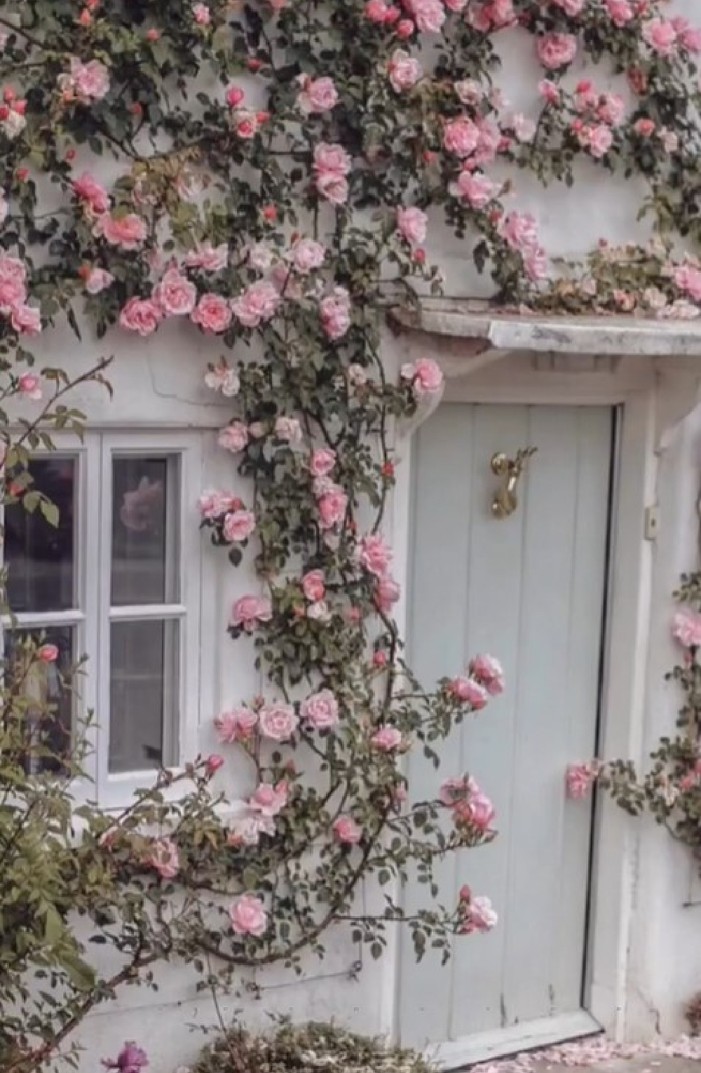 Beautiful light grey door on an English country cottage with climbing pink roses - Rachel Ashwell Shabby Chic. #englishcountryhouse