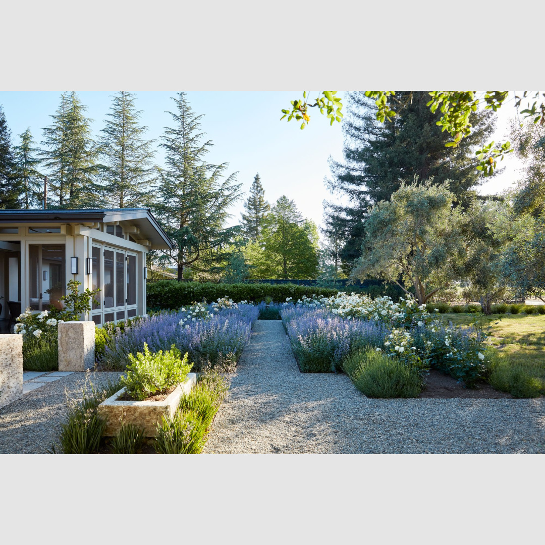 A vineyard estate in JOHN IKE: 9 HOUSES/9 STORIES by John Ike and Mitchell Owens (Vendome, 2023).