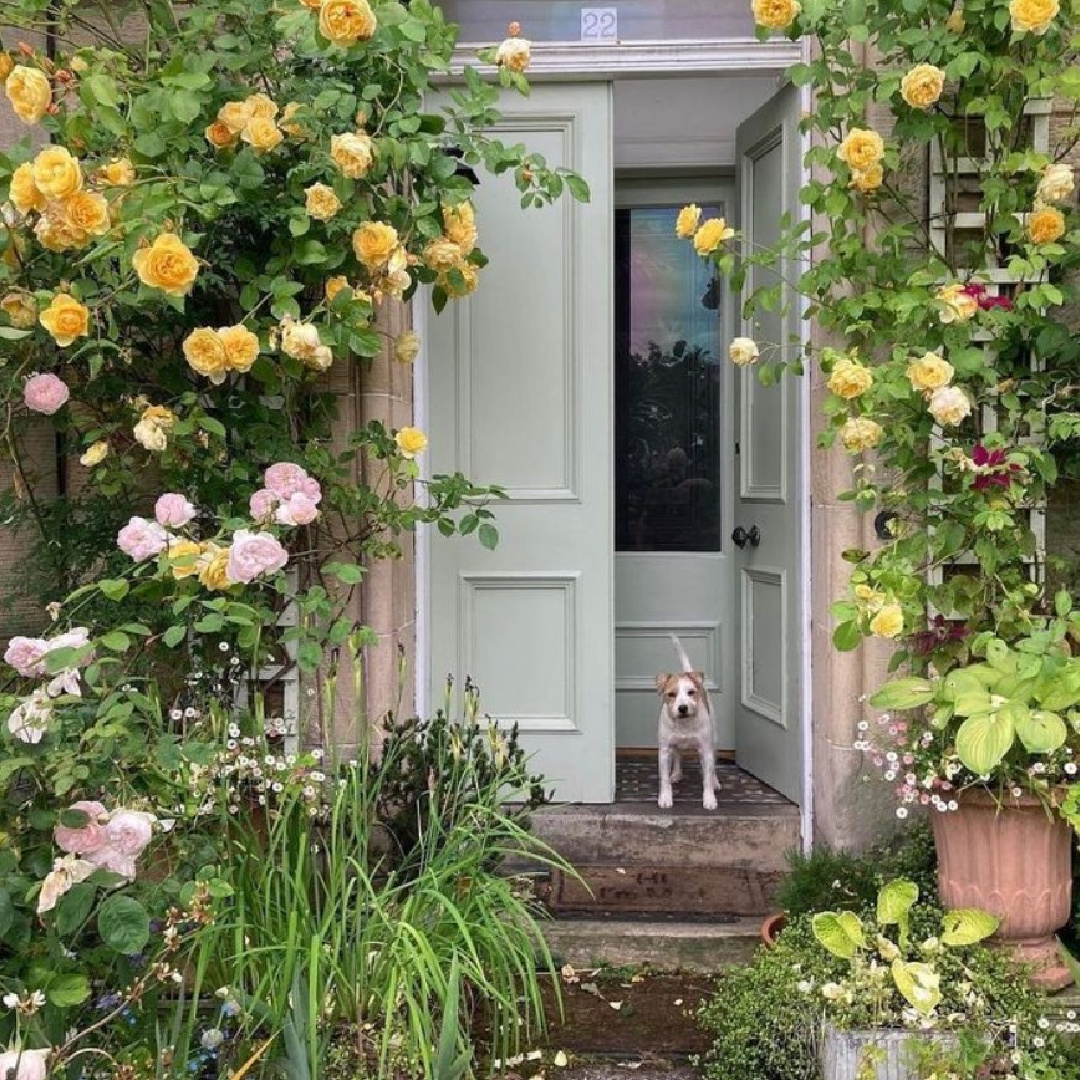 @mattgc - Farrow & Ball Vert de Terre on a front door of home with climbing yellow roses. #farrowandballvertdeterre #farrowandballpaintcolors