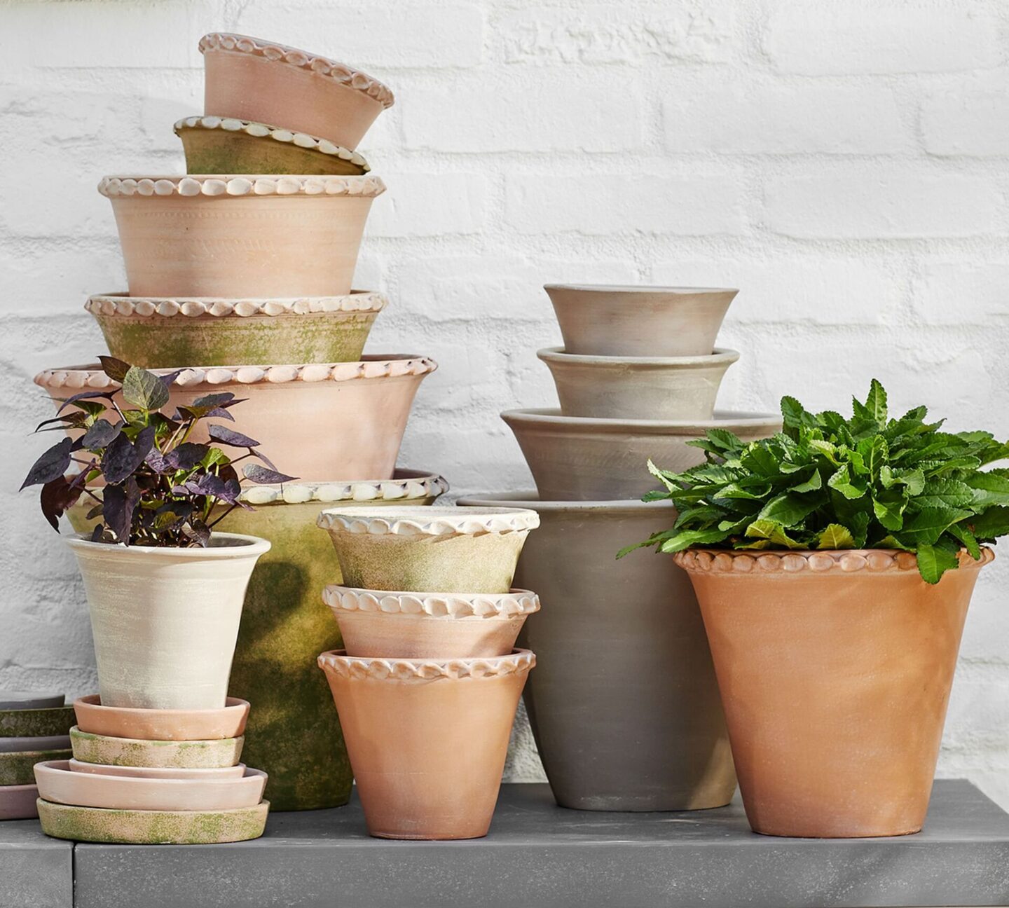 Provence scalloped edge planters from Pottery Barn. #frenchpots #provencestyle #planterpots