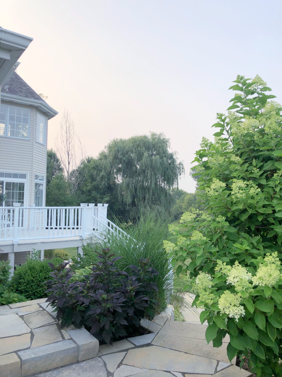 Backyard and freshly painted deck in July - Hello Lovely Studio.