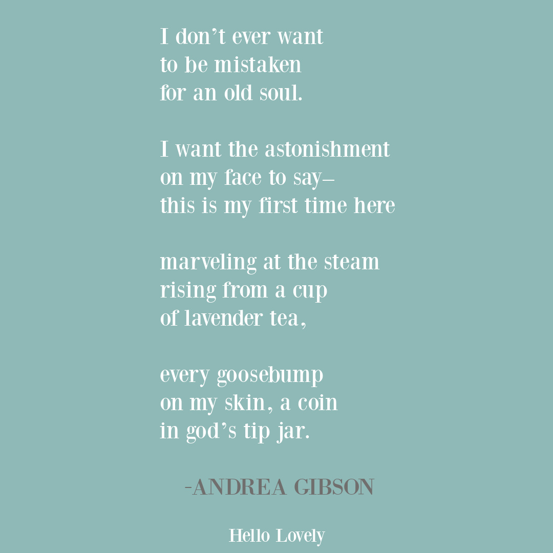 Andrea Gibson wonder quote. #wonderquotes #andreagibsonquotes #andreagibsonpoetry