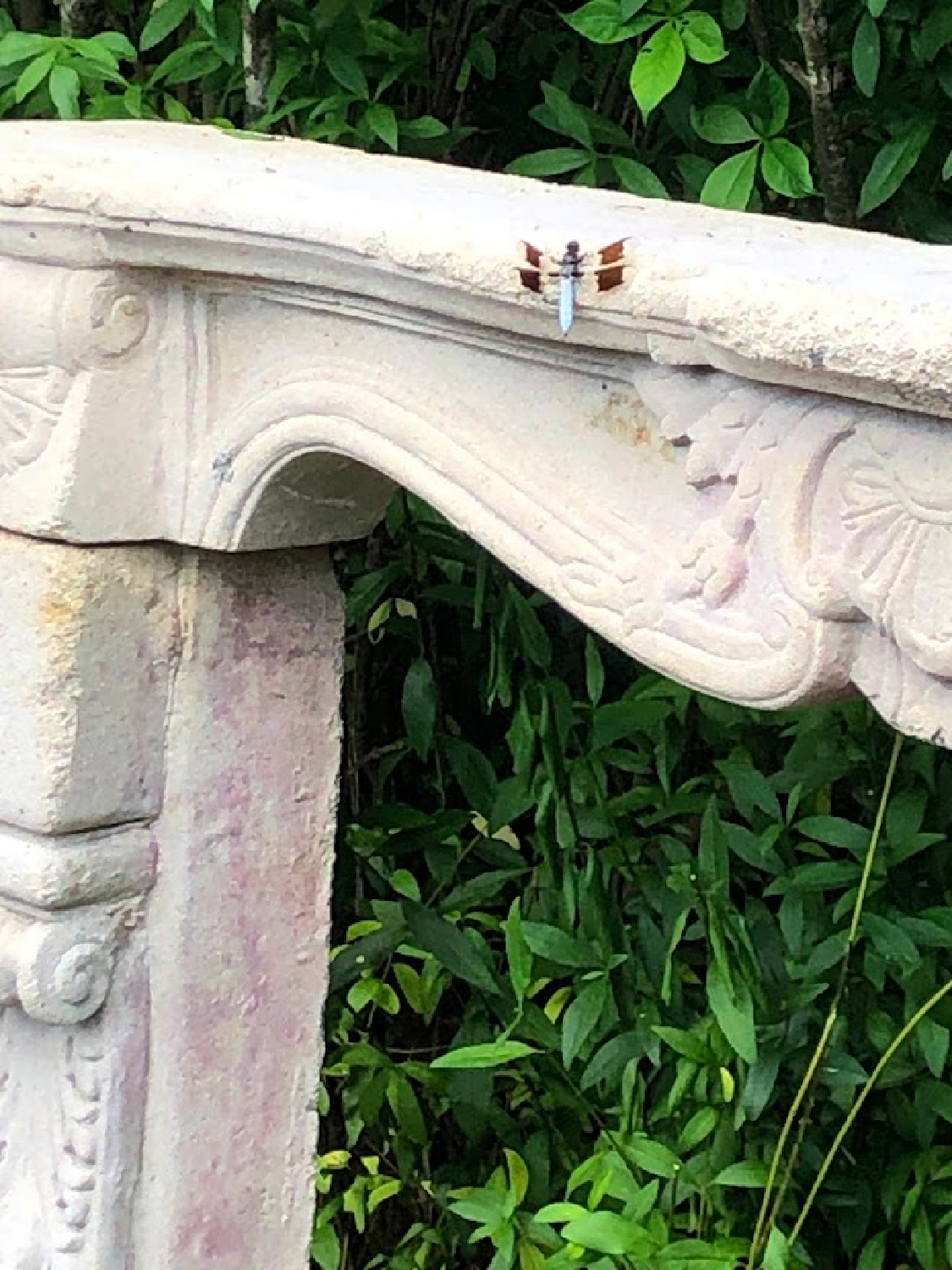 Dragonfly on the fireplace mantel in our secret garden courtyard - Hello Lovely Studio.