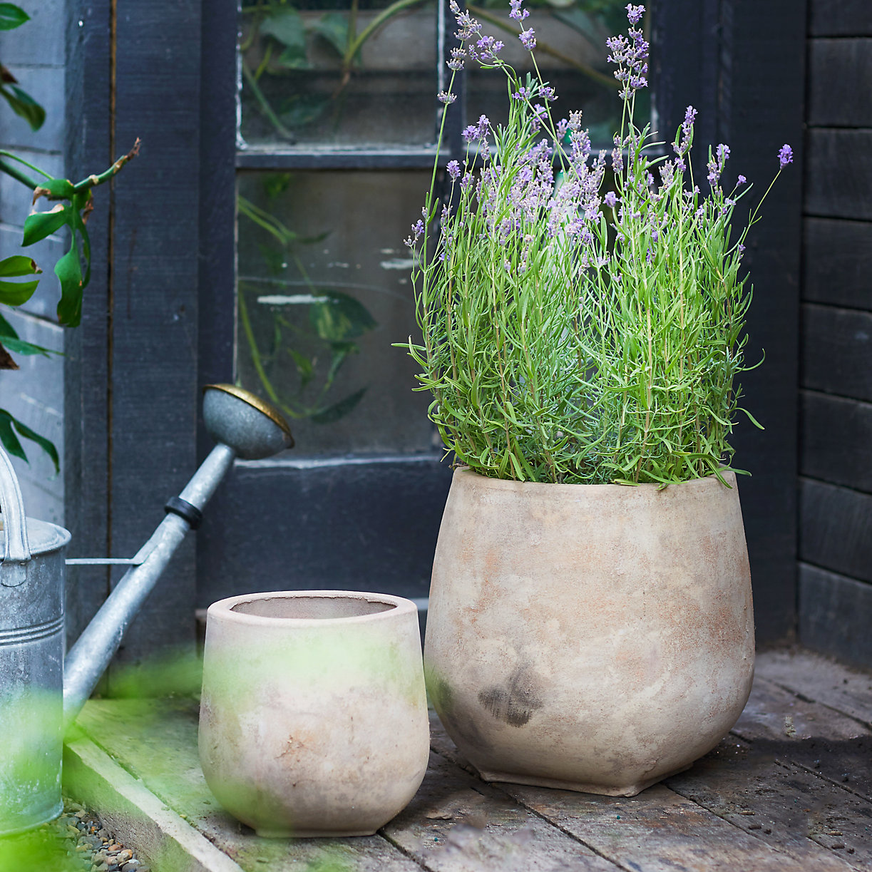 Aged ceramic planter, Terrain