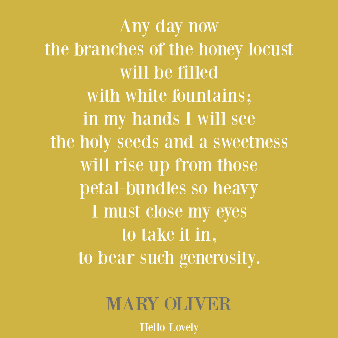 Mary Oliver quote poem about the honey locust. #naturequotes #maryoliverquotes