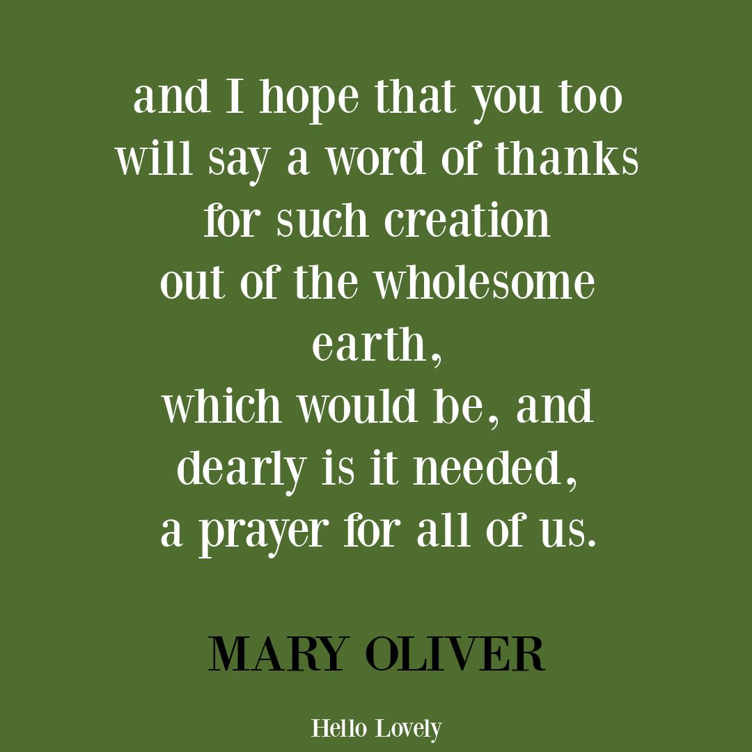 Mary Oliver quote poem about gratitude and prayer. #gratitudequotes #thanksgivingquotes #maryoliverpoems