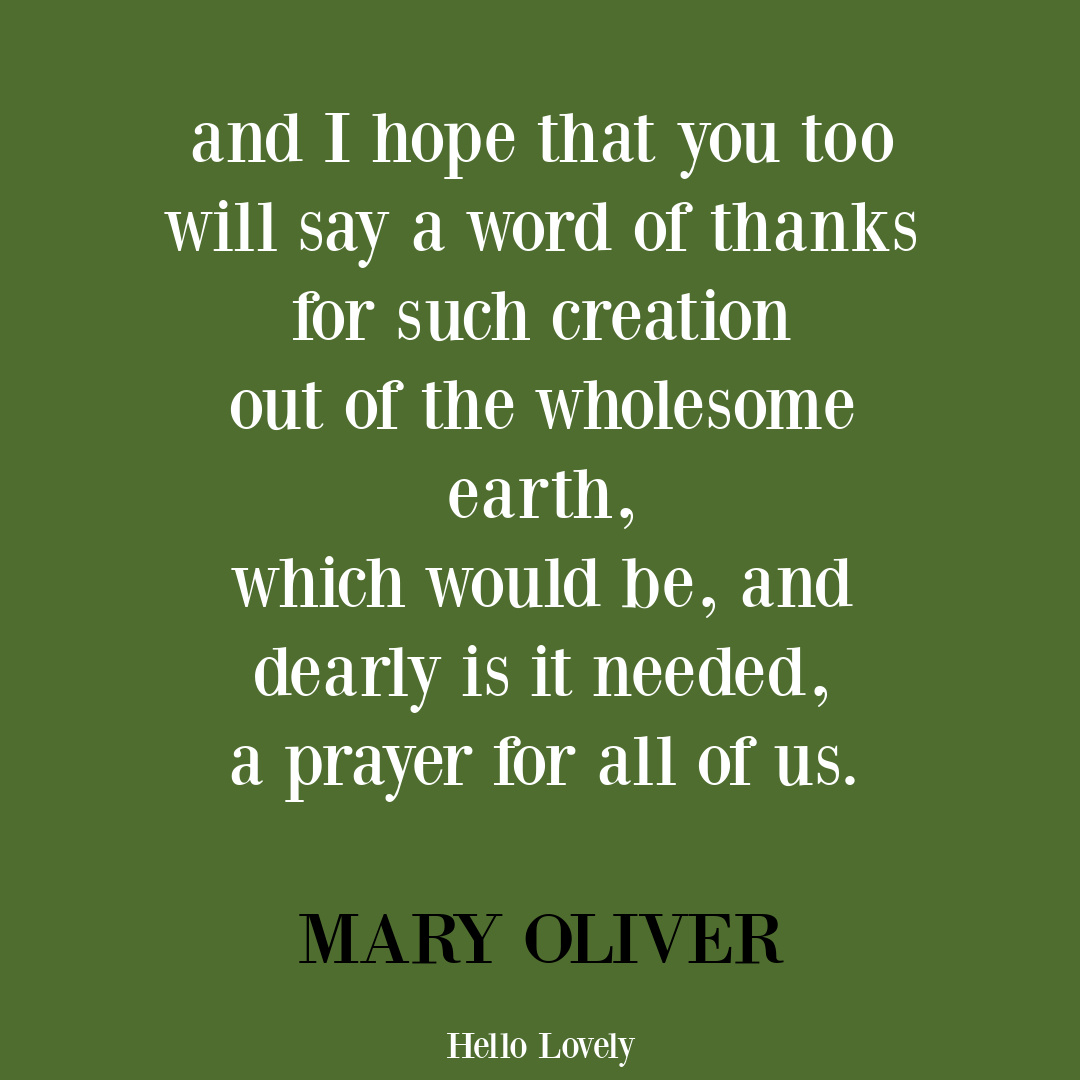 Mary Oliver quote poem about gratitude and prayer. #gratitudequotes #thanksgivingquotes #maryoliverpoems