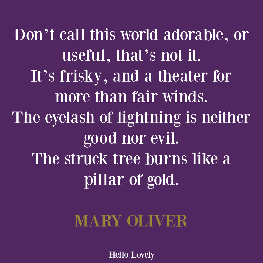 Mary Oliver quote poem about lightning. #maryoliverpoem #maryoliverquote