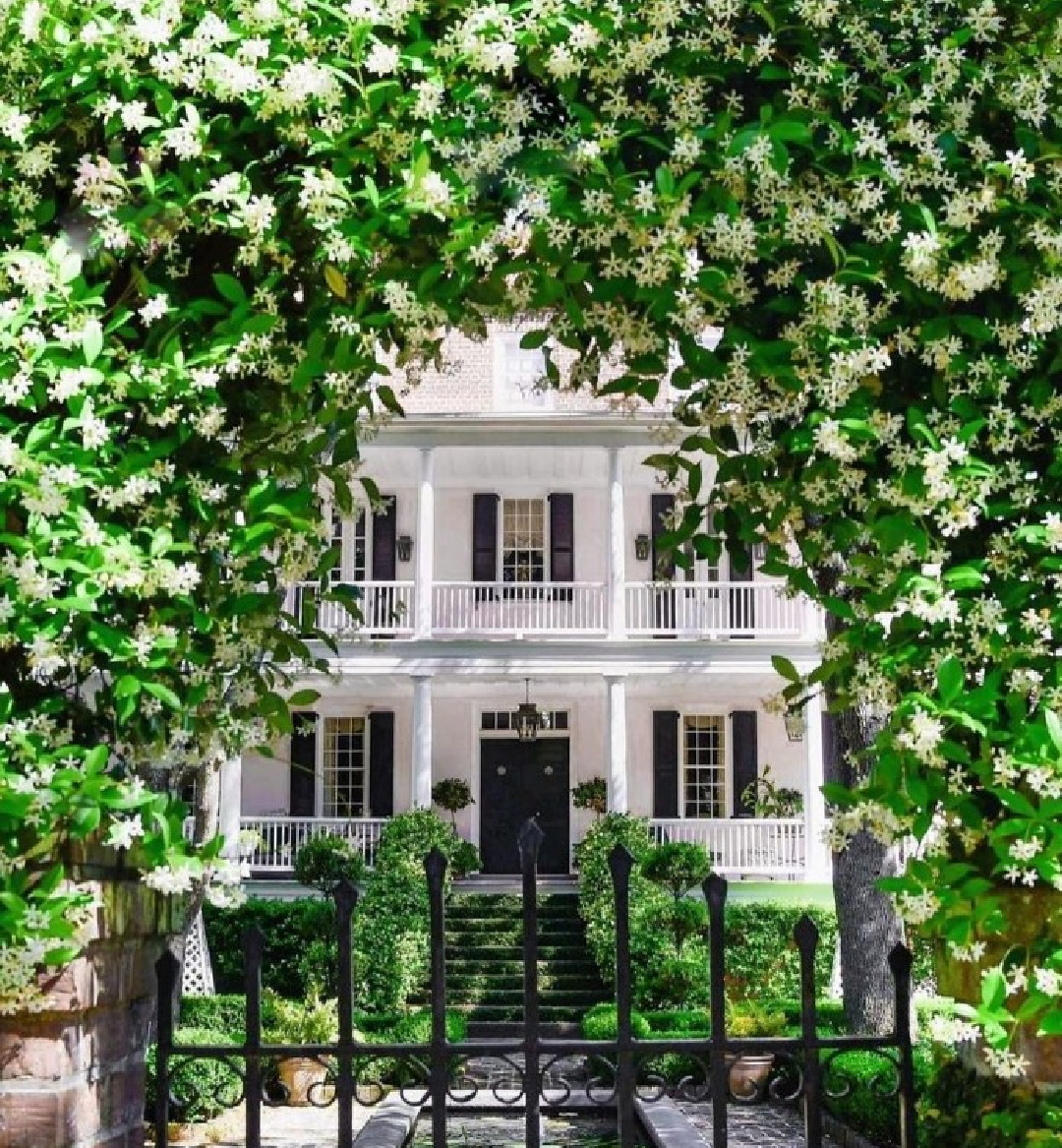 @southerhomemag - Stunning white house exterior with iron gate and jasmine. #classicarchitecture #whitehouses #whitehouseexteriors