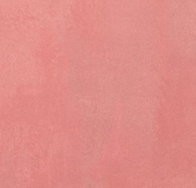 Pink background color for Gucci Pink Heron Print wallpaper. #guccipink #rosypink