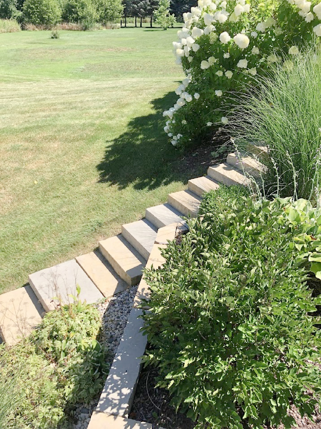 Hello Lovely Studio - stone steps , garden beds, and hydrangea hedge in my backyard.