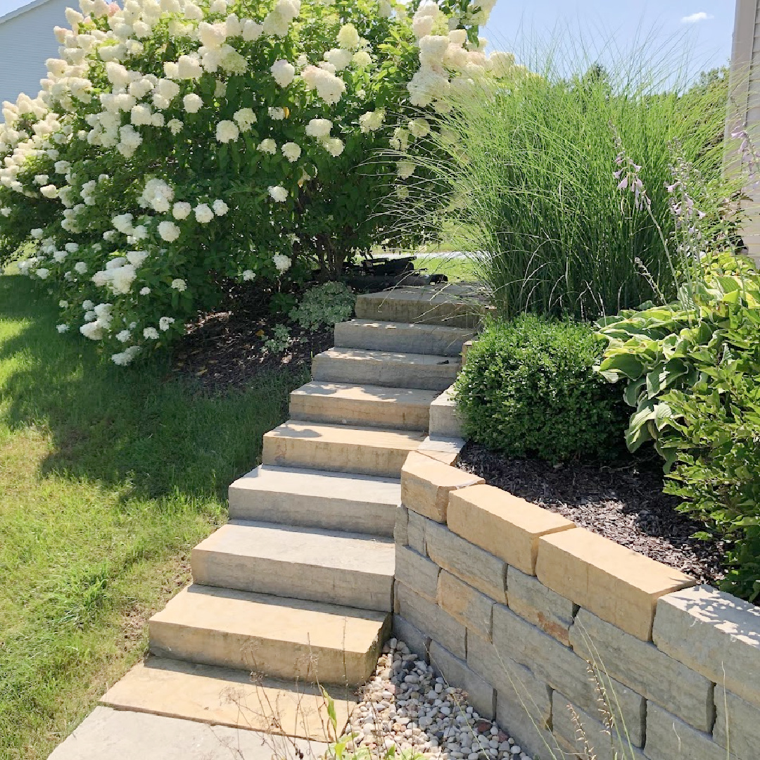 Hello Lovely Studio - stone steps , garden beds, and hydrangea hedge in my backyard.