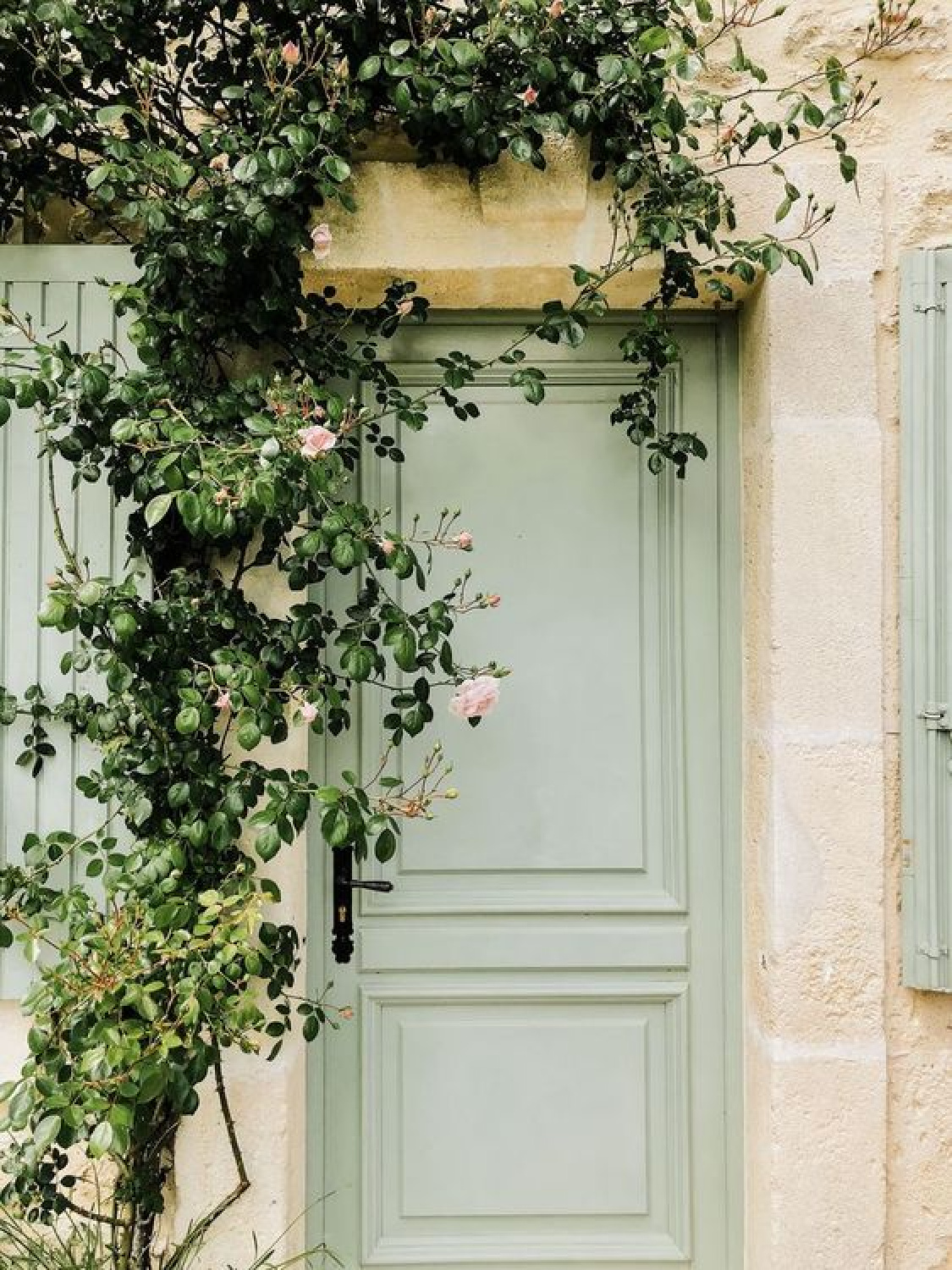 Sage green door with limestone and creeping roses in Provence - A Beautiful Plate. #sagegreen #provencestyle